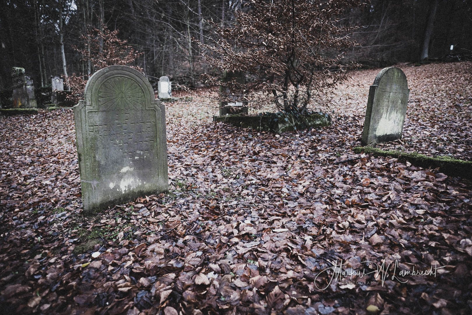 Sievershausen (Dassel), Jüdischer Friedhof